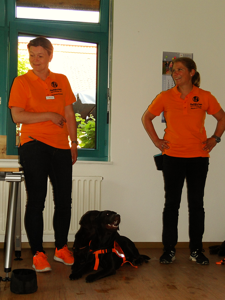 Bild 001